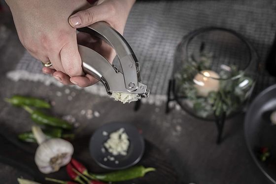 Rozsądne Stal Nierdzewna Czosnek Crush Zęblek Grater Gadżety kuchenne Wielofunkcyjny grater kuchenny
