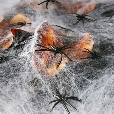 Poligraficzna pajęczynia bawełniana Dekoracja domu na Halloween
