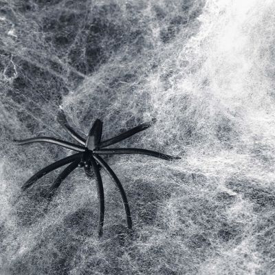 Dostosowywalne Stretchy Halloween Spider Web przerażające sceny rekwizyty dla domu nawiedzonego