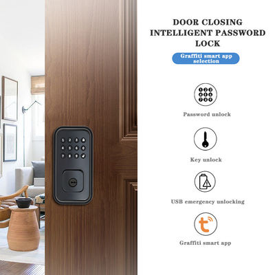 Zabezpiecz drzwi cyfrowym smart lockem z baterią i aplikacją TTlock Tuya WiFi